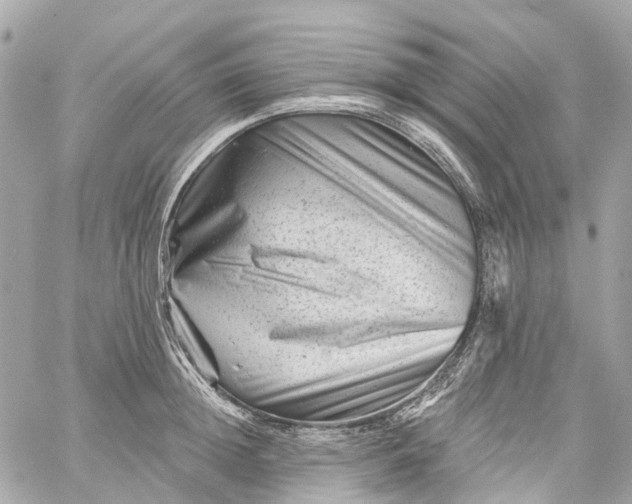 X0000060220852200511111835