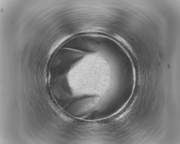 X0000060220885200511111834