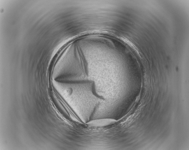X0000060220886200511111834