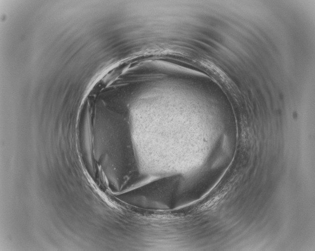 X0000060220894200511111834