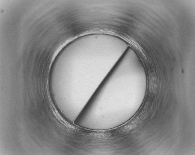 X0000060220896200511111834