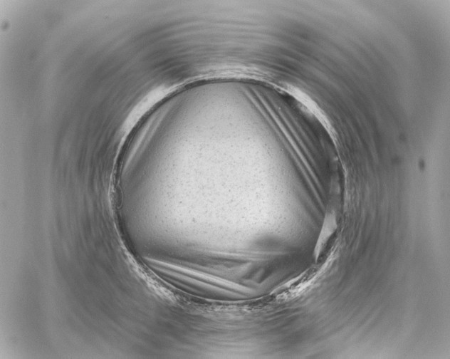 X0000060220901200511111834