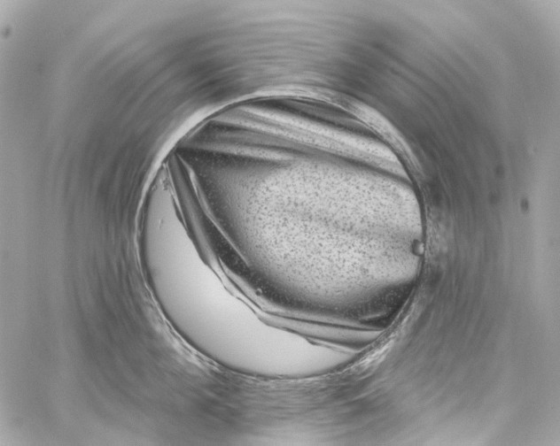 X0000060220908200511111834