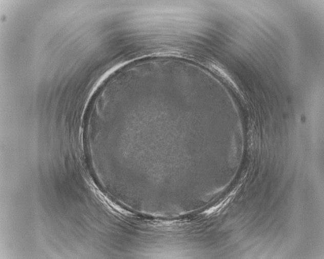 X0000060220932200511111833