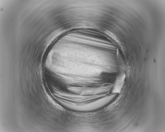 X0000060220942200511111833