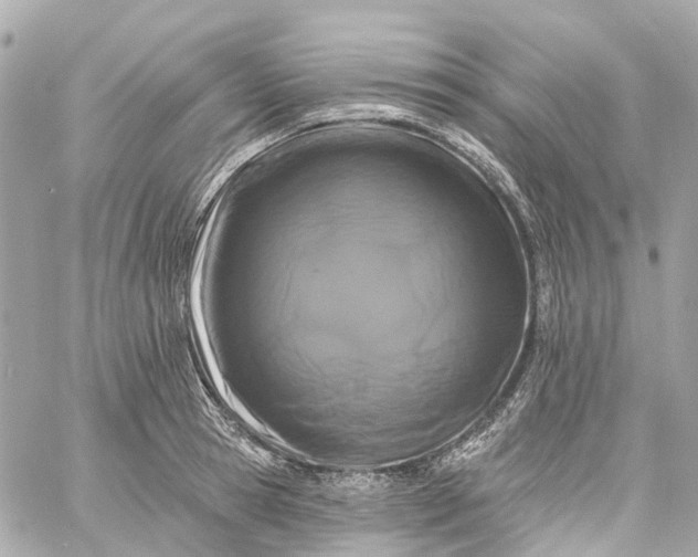 X0000060220945200511111833