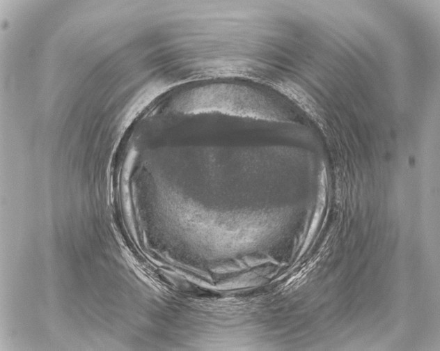 X0000060221031200511111832