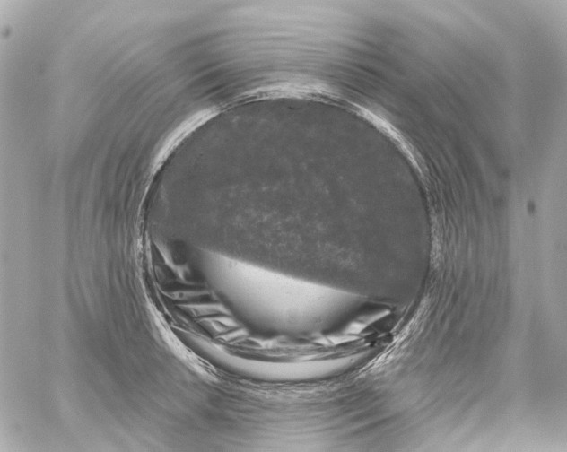 X0000060221042200511111832