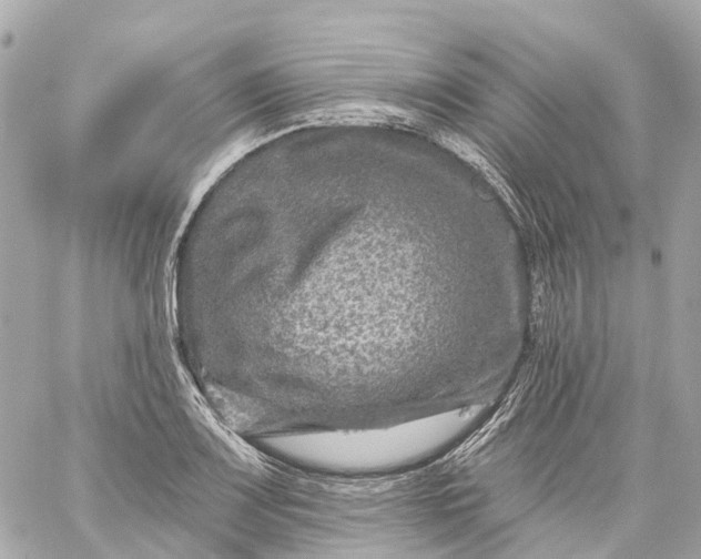 X0000060221083200511111831