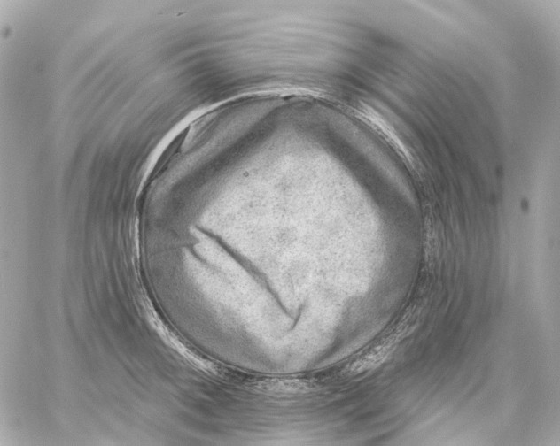 X0000060221092200511111831