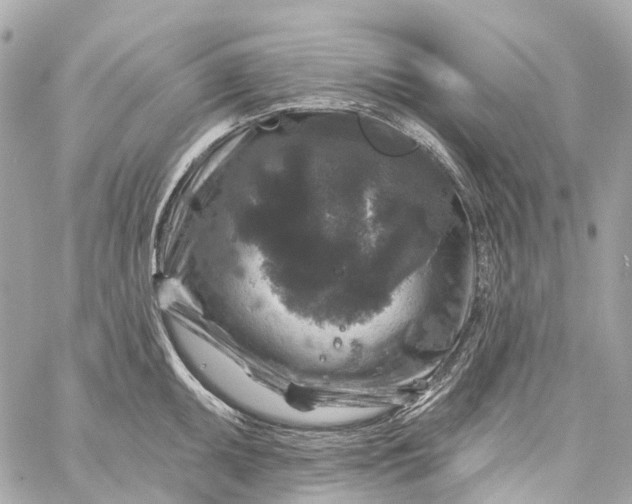 X0000060221095200511111831