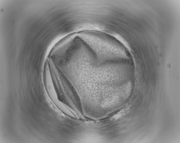 X0000060221104200511111830
