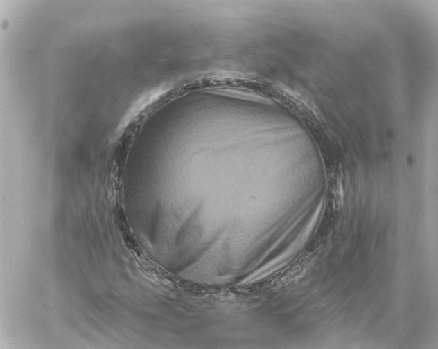 X0000060221207200511111828