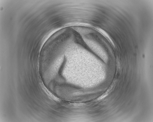 X0000060221244200511111829
