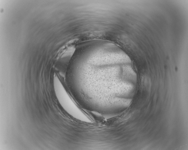 X0000060221250200511111828