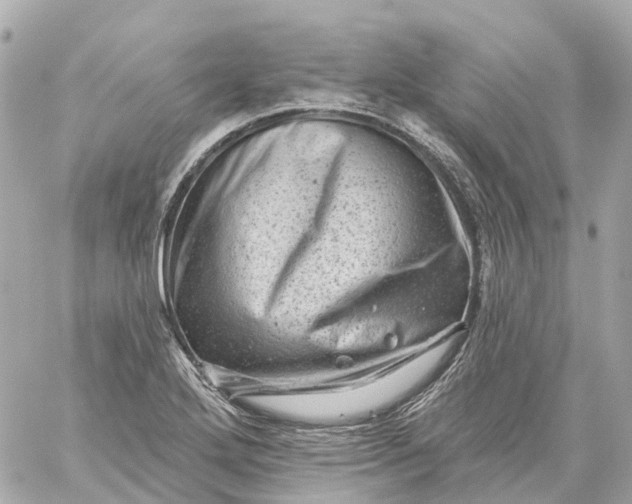 X0000060221272200511111828