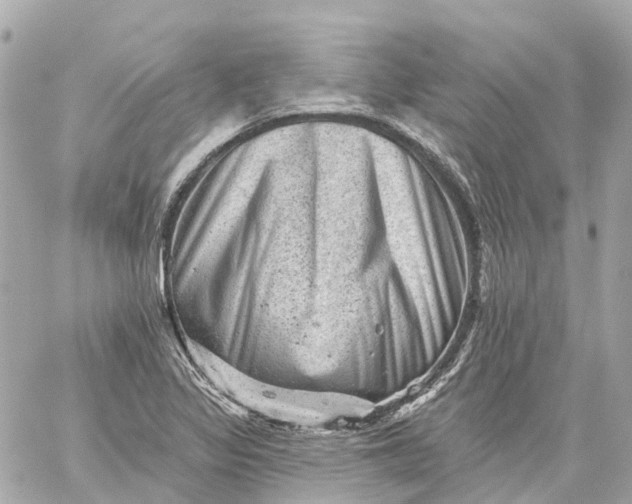 X0000060221317200511111827