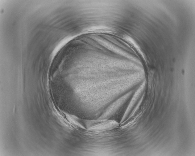 X0000060221336200511111827