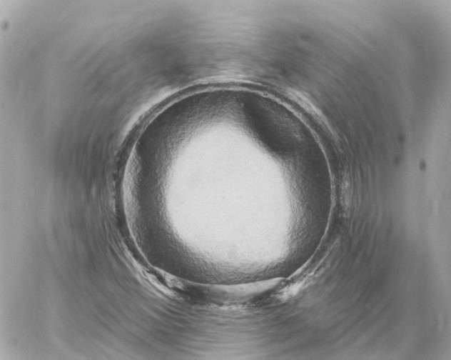 X0000060221356200511111826