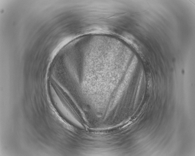 X0000060221375200511111826
