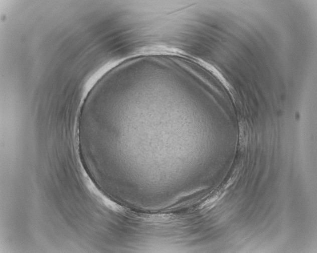 X0000060221387200511111826