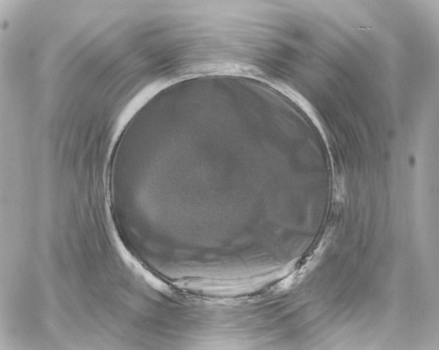 X0000060221389200511111826