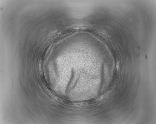 X0000060221396200511111825