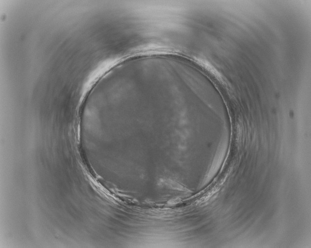 X0000060221413200511111825