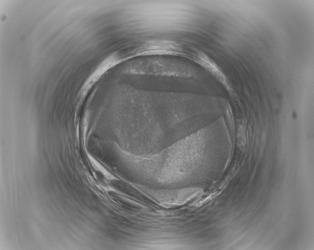 X0000060221419200511111825