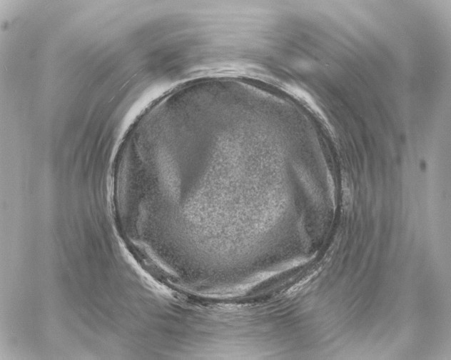 X0000060221424200511111825