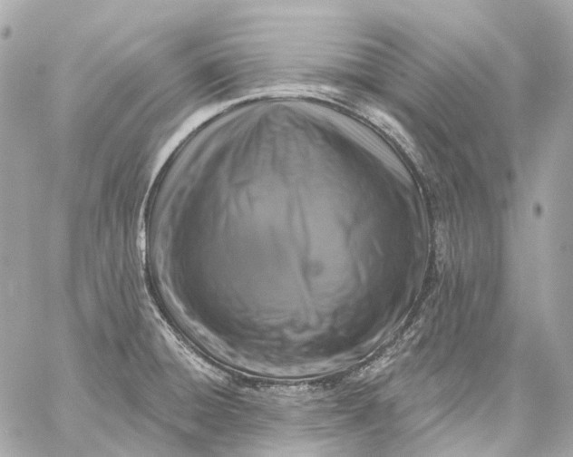 X0000060221428200511111825