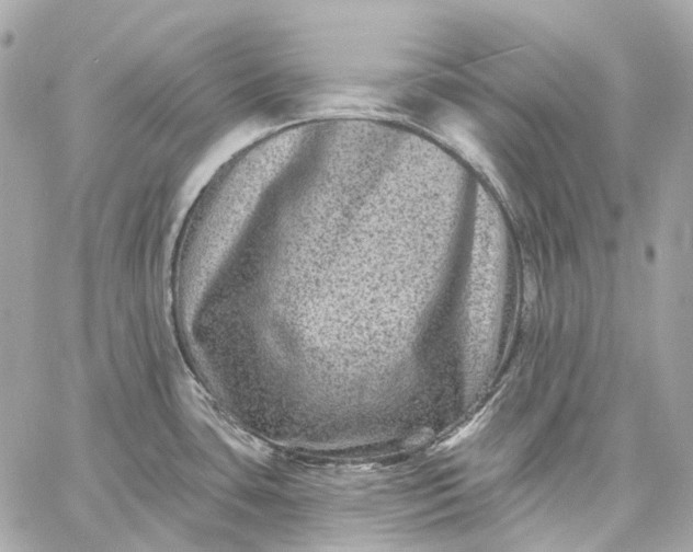 X0000060221435200511111825