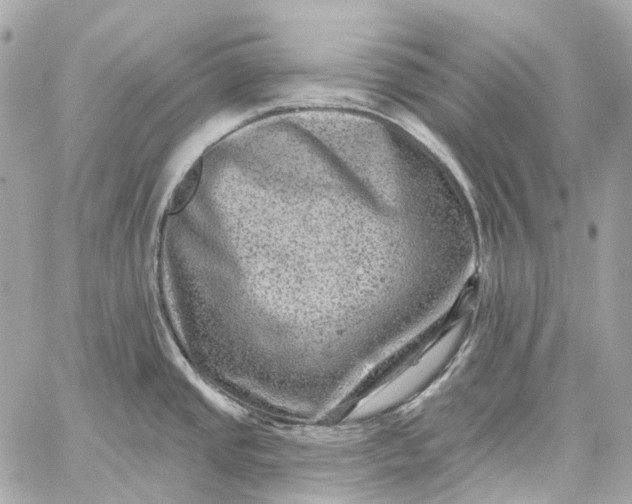 X0000060221437200511111825