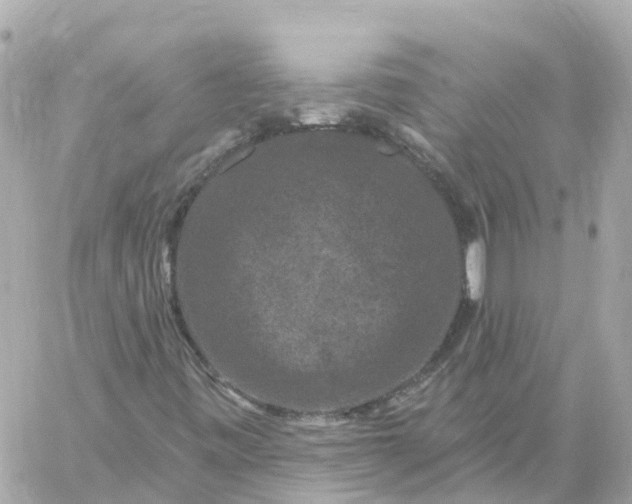 X0000060221443200511111825
