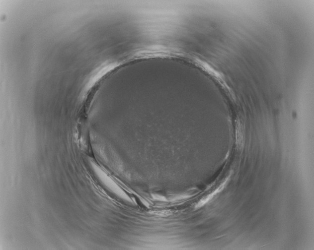 X0000060221453200511111825