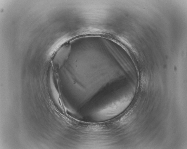 X0000060221455200511111824
