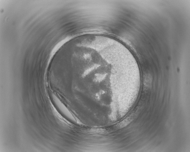 X0000060221466200511111824