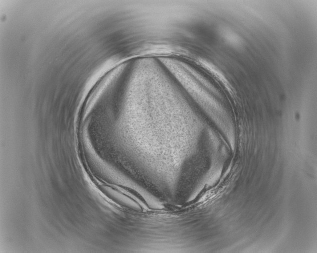 X0000060221475200511111824
