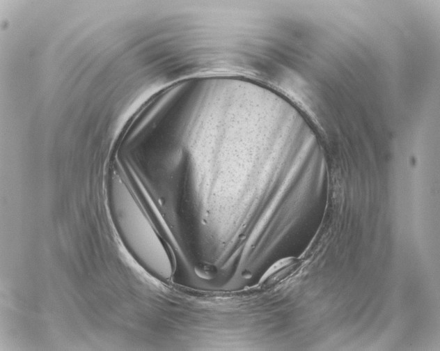 X0000060221476200511111824