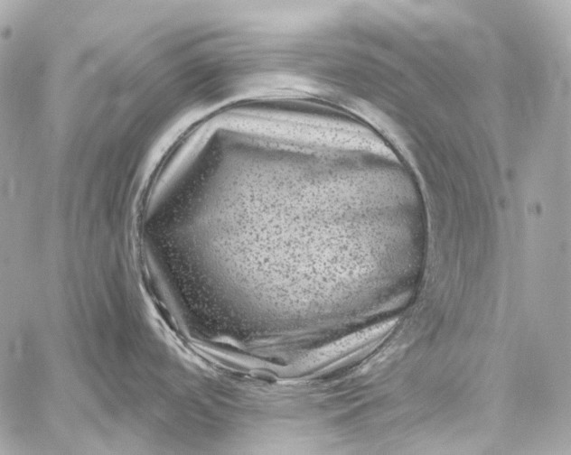 X0000060221488200511111824