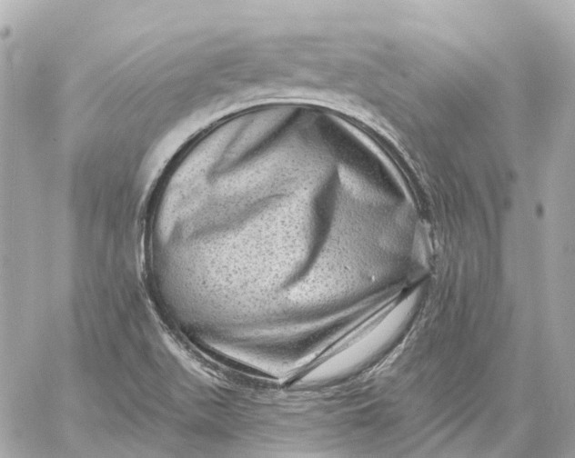 X0000060221511200511111824