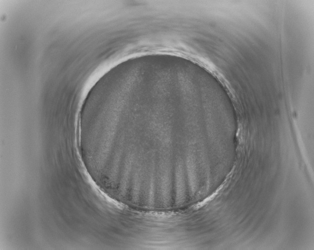 X0000060221520200511111824