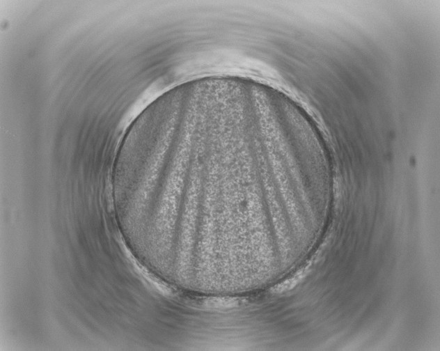 X0000060221521200511111824