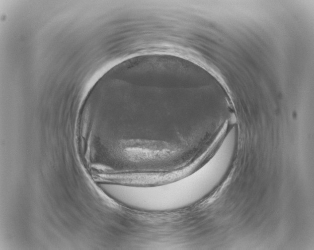 X0000060221533200511111824