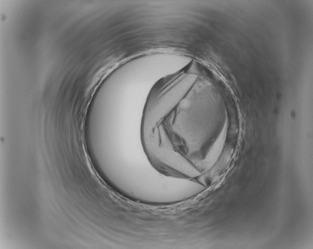 X0000060220001200511181224