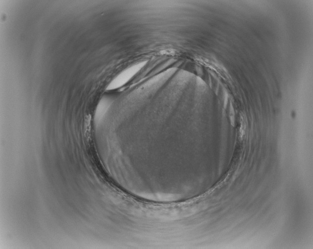 X0000060220029200511181224
