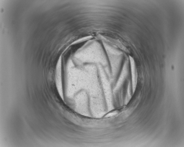 X0000060220044200511181224