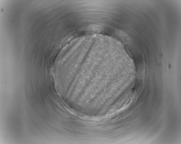 X0000060220045200511181224