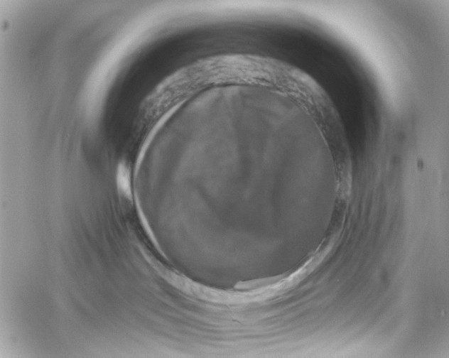 X0000060220047200511181224