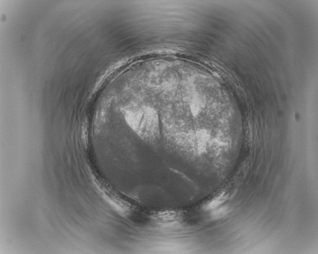X0000060220064200511181223